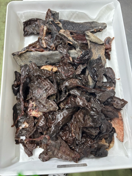 レバーとハツ、たんの皮の写真です